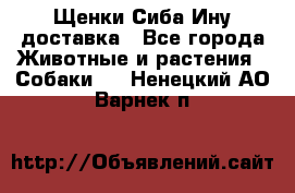 Щенки Сиба Ину доставка - Все города Животные и растения » Собаки   . Ненецкий АО,Варнек п.